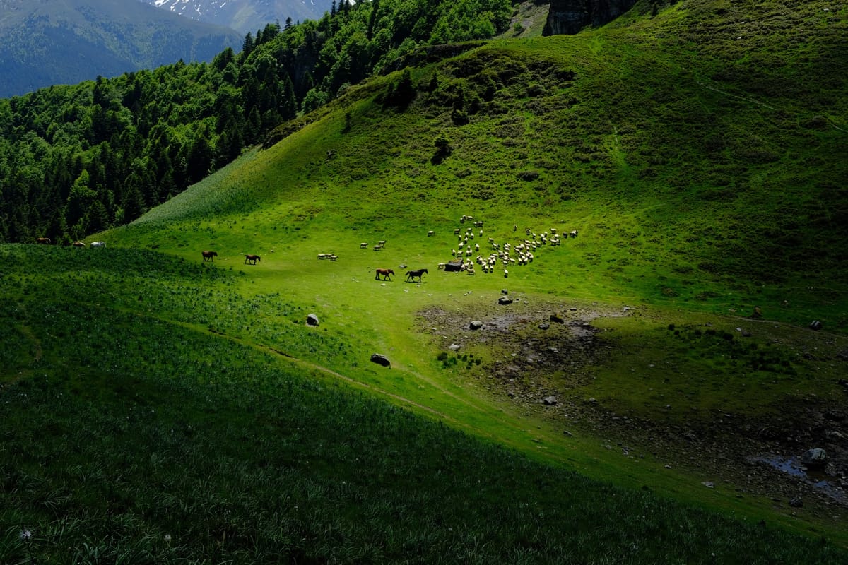 Les crêtes de Culentous