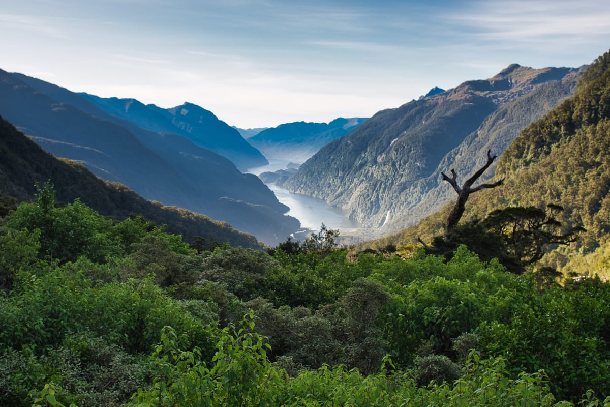 Derniers jours sur l'Île du sud
