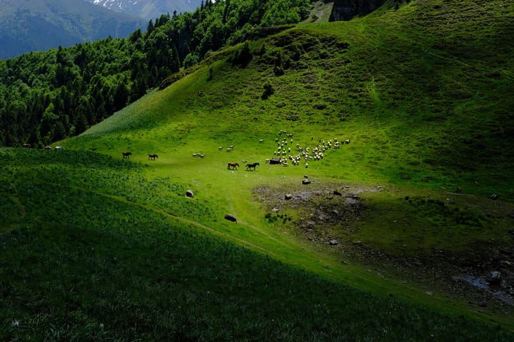 Les crêtes de Culentous