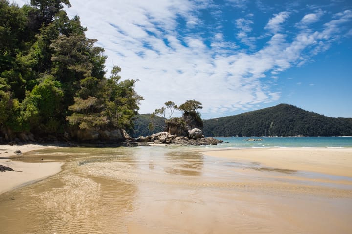 Découverte de l'île du Sud